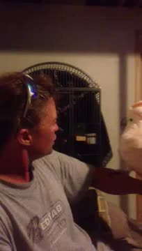 BIRDS BIRDS BIRDS. On the Internet no ones know you're a handful of birds.. I have a couple clips myself