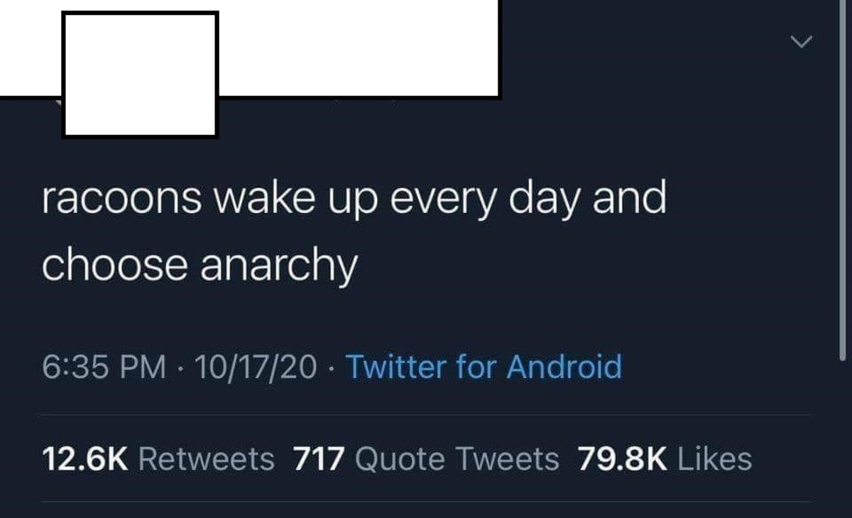 superficial Cormorant